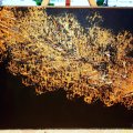 Klant imago Amsterdam acrylverf 120 ml - Oxide zwart