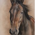 Klant imago Kleurpotlood Polychromos - 186 Terracotta