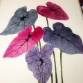 Klant imago Aquarelblok Hahnemühle Britannia 300g Mat - 24x32cm