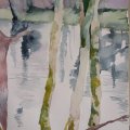 Klant imago Aquarelblok Gelijmd Ruw bos Bogen 300g - A3