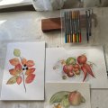 Klant imago Dubbelzijdige aquarelpennen Design Journey - 18 pennen