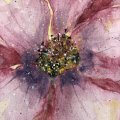 Klant imago Canson XL Aquarelle 300g - A4