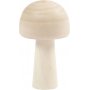 Houten spons - D2,9 cm - H5,2 cm - 3 st