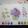 Klant imago Aquarelboek Hahnemühle 200g - A4
