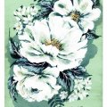 Klant imago Canson Montval 300g fijne korrel - 40x50 cm