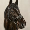 Klant imago Pastelpotlood PITT - 101 Wit Med