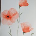 Klant imago Aquarelverf W&N Cotman Half cup - 095 Cadmiumrode tint