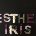 Klant imago Onbehandelde houten letters 80x5 mm - E