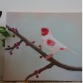 Klant imago Fine Art verdunning 222 - 1000 ml