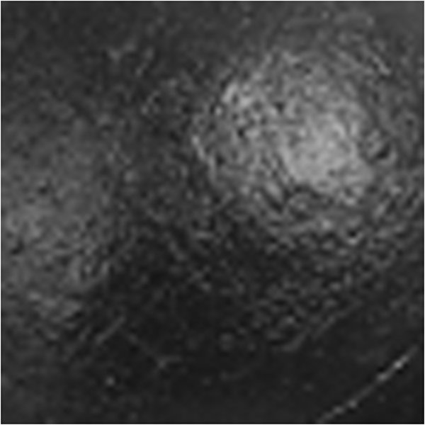 Schoolverf - Acryl - zwart - glanzend - 500 ml