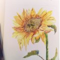 Klant imago Aquarel aquarelblok 360 x 480 mm