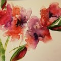 Klant imago Aquarelblok Gelijmd Ruw bosje Bogen 300g - 23x31 cm