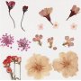 Gedroogde bloemen en bladeren - lichtroze