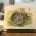 Klant imago Aquarelverf W&N Cotman Half kopje - 314 Hooker's groen licht