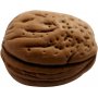 Noten - 25 g