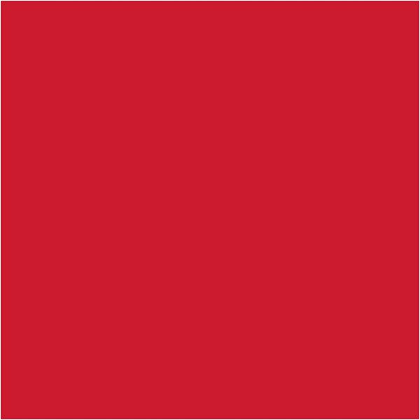 Vloeipapier - rood - 50 x 70 cm - 14 gr - 10 vellen Vloeipapier - rood - 50 x 70 cm - 14 gr - 10 vellen