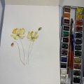Klant imago Aquarelverf W&N Cotman Half cup - 266 Gamboge tint