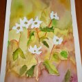 Klant imago Aquarelblok Gelijmd Koudgeperste Bogen 300g - A4