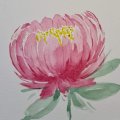Klant imago Canson Montval 300g Fijne grang - 24x32 cm