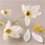 Mini DIY Kit Crpepapier - Magnoliatak