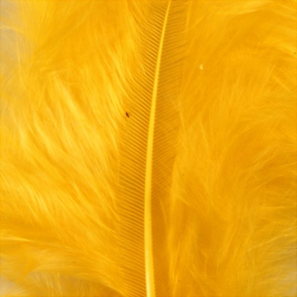 Dons - geel - 15 st Dons - geel - 15 st