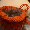 Klant imago Jette 50g - Papaver Sinaasappel
