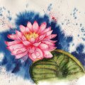 Klant imago Aquarelverf W&N Professional Tube 5 ml - 502 Permanent roze