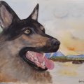 Klant imago Aquarelblok Gelijmd Warmgeperst Bogen 300g - A5
