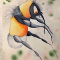 Klant imago Aquarelblok Gelijmd Koudgeperste Bogen 300g - A4