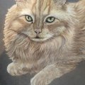 Klant imago PanPastel - Titaanwit