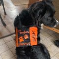 Klant imago Bever nylon - Kleurcode: 3 - oranje - 150 cm
