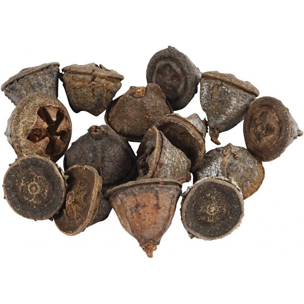 Eucalyptuskegels - 25 g Eucalyptuskegels - 25 g