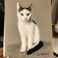 Klant imago Pastelblok Hahnemühle Velours Gekleurd 260g - 30x40cm