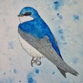 Klant imago Aquarelblok Koudgeperste Bogen 300g - 18x26 cm