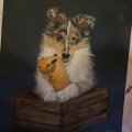 Klant imago Pastelpotlood PITT - 233 Koudgrijs IV