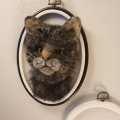 Klant imago Kattenogen � 10 mm - groen 4 st.