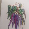 Klant imago Aquarel aquarelblok 360 x 480 mm