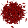 Kaarskleur - rood - 10 g