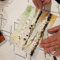 Klant imago Penselenset Kunststof "Hobby Multi" L&B - 3 Penselen