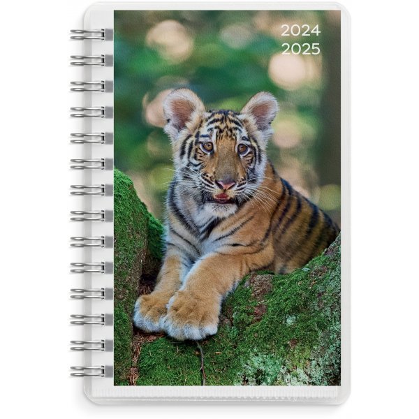 Kalender 24/25 Compact - Huisdieren Kalender 24/25 Compact - Huisdieren