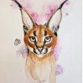 Klant imago Canson XL Aquarelle 300g - A3