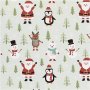 Cadeaupapier - ijsblauw - Kerstmotief - 5 meter