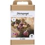 DIY Kit Decoupage - Kerstrood - Droogbloemen