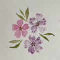 Klant imago Waterverfverf W&N Professional Half cup - 491 Permanent mauve