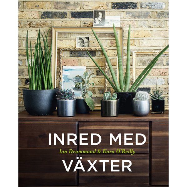 Interieur met planten