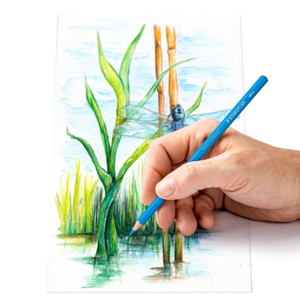 Aquarelkleurpotloden in een doosje - 12 potloden