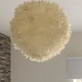 Klant imago Decoratieve veer 50-100 mm - vanille 10 g ~ 110-pack