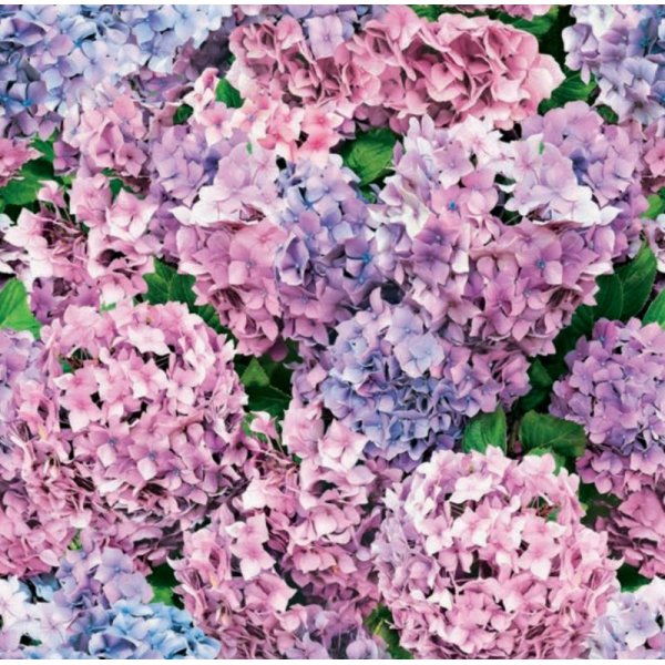 Wasdoek - Hortensia