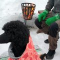 Klant imago Lovikka garen 100g - Kerstgroen