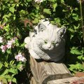 Klant imago Kattenogen � 12 mm - groen 2 st.